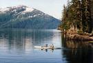 images-21 kayaking off the Alaska coast