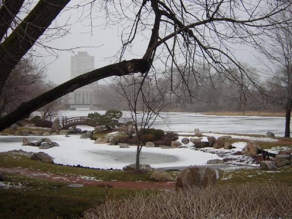 367 Wooded Isle: the Japanese Garden in Winter