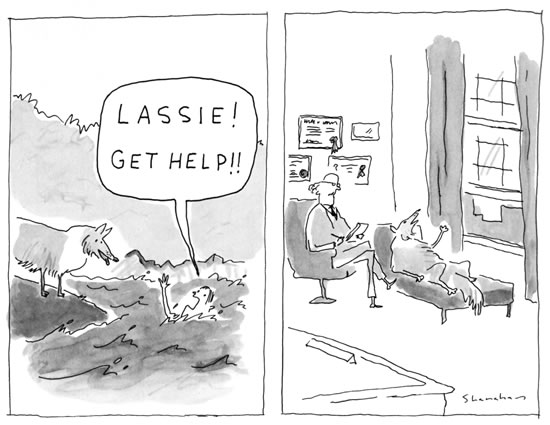 lassie lassie