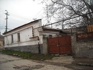 006.JPG