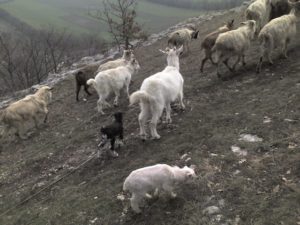 Photo_022710_002