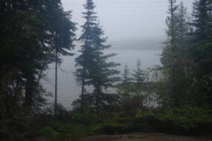 DSC00338