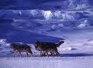 images-1