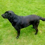 IMG_0002 Maddy