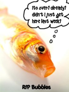 Dead Goldfish