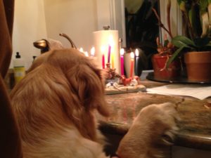 Chiara's First Hanukkah